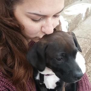 Meet your Posher, Morgan